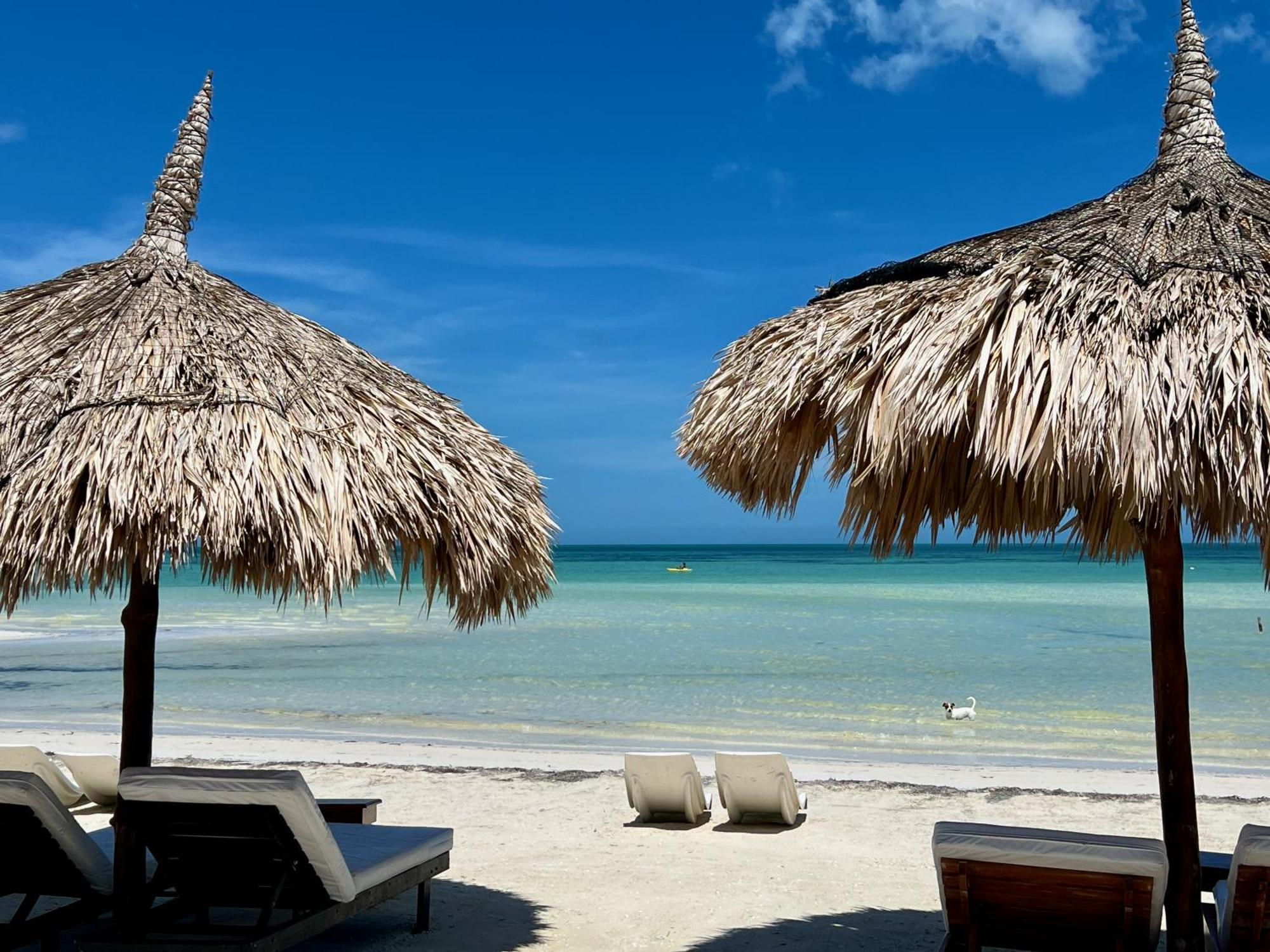 Palapas Del Sol Hotel Isla Holbox Екстериор снимка